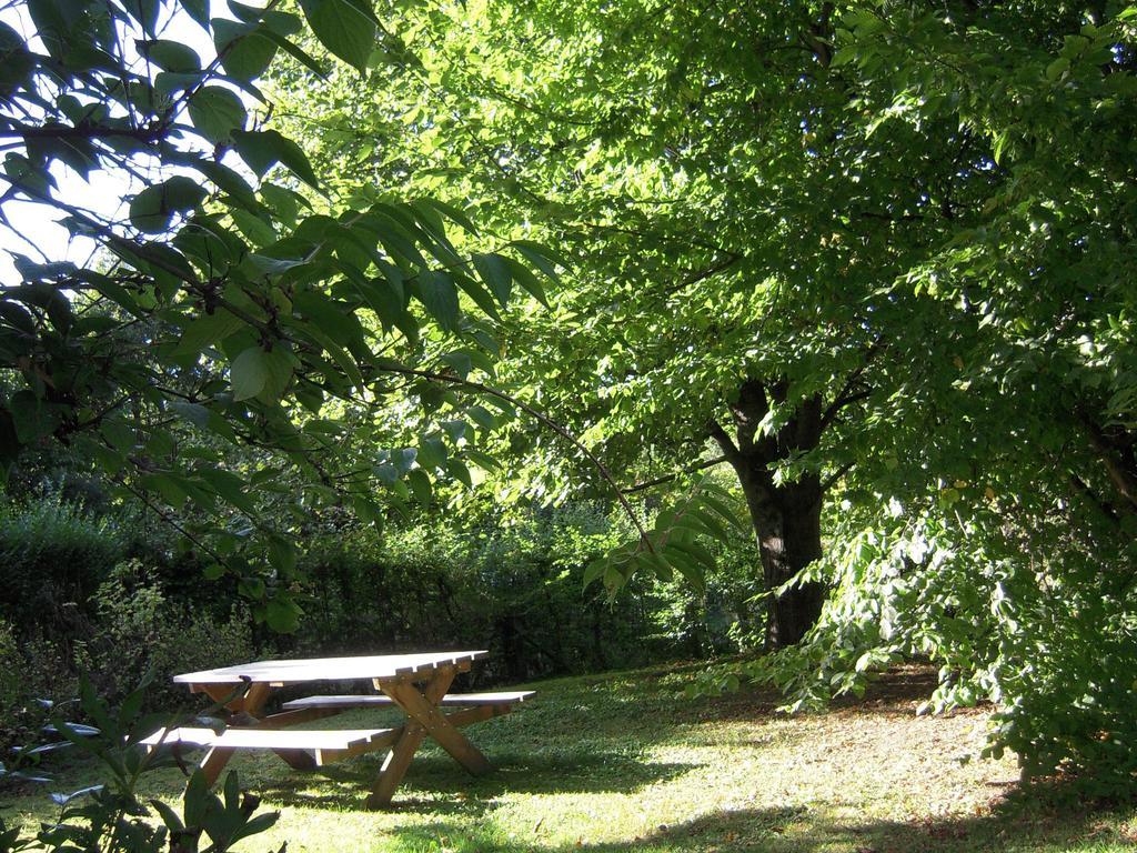 Nice G Te With Private Garden In Br Ly De Pesche Couvin Exterior photo
